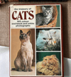 The Treasury of Cats