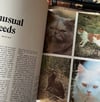 The Treasury of Cats
