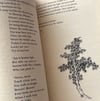 The Way of Chuang Tzu