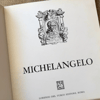 Tutto Michelangelo