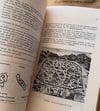 Villes islamiques - Cités d'hier et d'aujourd'hui