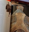 War and Peace: Ottoman-Polish Relations in the 15th