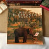 When Elephants Paint