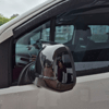 Yarasa Ayna Kapağı - Rifter, Berlingo, Doblo, Combo, ProaceCity