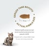 Felicia Kolajenli Somonlu Az Tahıllı Yetişkin Kedi Maması HypoAllergenic Kedi Maması  2 Kg 