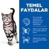 Hill's Science Plan Hairball&Indoor Tavuklu Yetişkin Kedi Maması