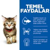 Hill's Science Plan Tavuklu Yavru Kedi Maması