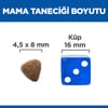 Hill's Science Plan Tavuklu Yavru Kedi Maması
