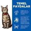 Hill's Science Plan Tavuklu Yetişkin Kedi Maması