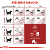 Royal Canin Fit 32 Yetişkin Kedi Kuru Maması