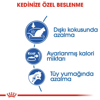 Royal Canin Indoor 27 Yetişkin Kedi Kuru Maması