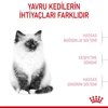 Royal Canin Kitten Yavru Kedi Kuru Maması