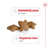 Royal Canin Mini Adult Yetişkin Köpek Kuru Maması