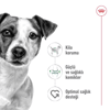 Royal Canin Mini Adult Yetişkin Köpek Kuru Maması