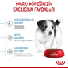 Royal Canin Mini Puppy Yavru Köpek Kuru Maması