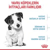 Royal Canin Mini Puppy Yavru Köpek Kuru Maması