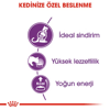Royal Canin Sensible 33 Yetişkin Kedi Kuru Maması