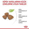 Royal Canin X-Small Puppy Yavru Köpek Kuru Maması