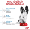 Royal Canin X-Small Puppy Yavru Köpek Kuru Maması