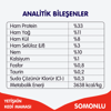 WANPY TAHILSIZ SOMONLU KEDİ MAMASI 1,5 KG