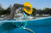 Manta El Paleti