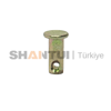 PIN