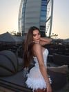 CASSANDRA TAŞ & TÜY DETAYLI MİNİ ELBİSE