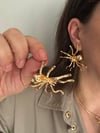 Gold Renk Örümcek Model Tasarım küpe