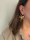Gold Renk Örümcek Model Tasarım küpe