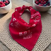 Lacivert Ve Kırmızı Kedi Figürlü 2'li %100 Koton Bandana