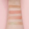 APPLE PIE  cuteadventure face palette 12g