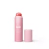 Blush in a stick LIP & CHEEK GEL BLUSH  dabitonyourface 101