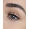 EYES ON THE PRIZE FALSE LASHES #softdivalution