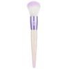 Powder brush  crystalcuties