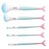 SET OF BRUSHES