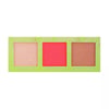SWIRL OF PETALS FACE PALETTE  magicalpower