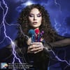 WITCH ESSENTIALS SET OF BRUSHES  magicalpower