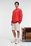 IRVING Erkek Yuvarlak Yaka Göğsü Ve Önü Regular Fit Kiremit Rengi Sweatshirt