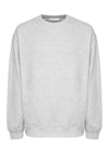 Raırok Erkek İçi Polarlı Comfort Bej Oversize Nakışlı Grimelanj Sweatshirt
