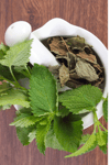 Melisa Limonlu (Oğul Otu) 20Gr