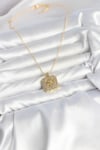 316L Çelik Zincir Gold Aslan Madalyon Model Zirkon Taşlı Kadın Kolye