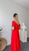 BEBE PLUS NAR ÇİÇEĞİ ELBİSE