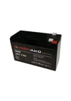 Akü Bakımsız Kuru Agm Akü Yd 12-7 12 Volt 7 Amper (ups)