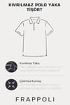 Erkek Regular Fit Polo Yaka Basic Sweatshirt Damla Örğülü