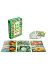 Dıy-toy Flash Cards Ilk 50 Meyve Sebze