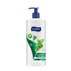 Hobby Normal Saçlar İçin Şampuan Isırgan Özlü 1000 Ml