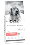 Molly Medium Large Adult Somonlu Yetişkin Köpek Maması 2 Kg