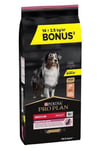 Pro Plan Medium Adult Somonlu Yetişkin Köpek Maması 14+2.5 Kg