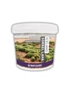 Reeflowers İceland Sorrel Lava 1-3 Mm Doğal Akvaryum Kumu 15 Kg