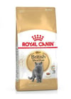 Royal Canin British Shorthair Adult Kedi Maması 4 Kg